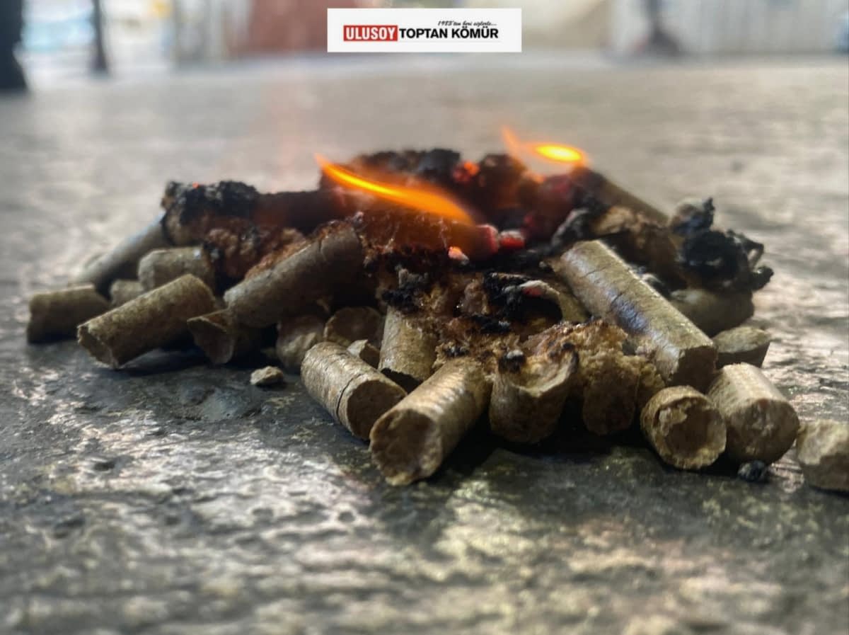 Pelet Yakıtlar